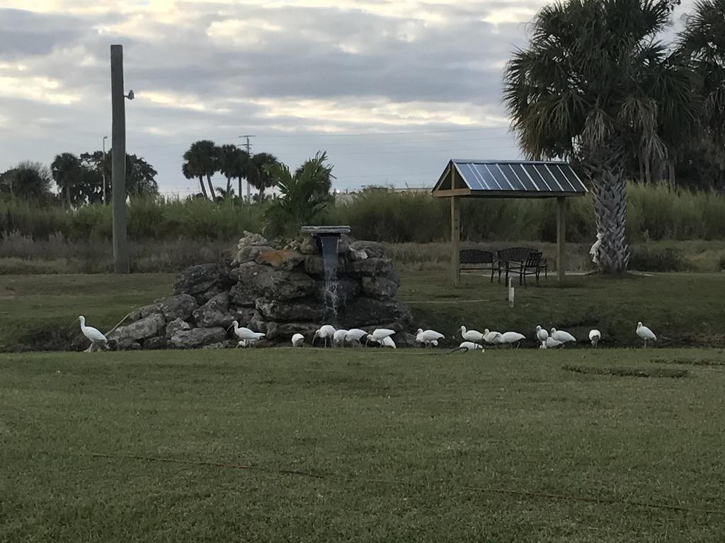 Days Inn & Suites By Wyndham Lake Okeechobee Exteriör bild